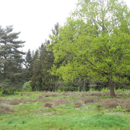 Naturschutzgebiet Termenei bei Wilhelmshausen