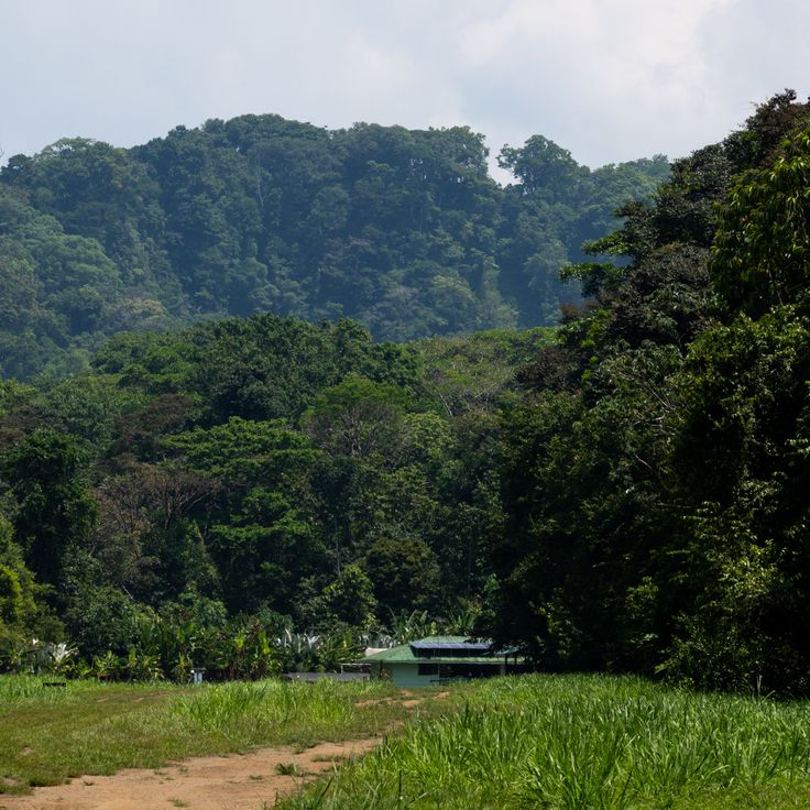 Corcovado National Park