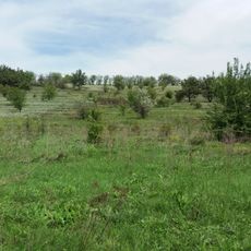 Buzove Botanical Reserve