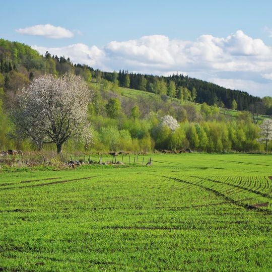 Mularpabäckens dalgång