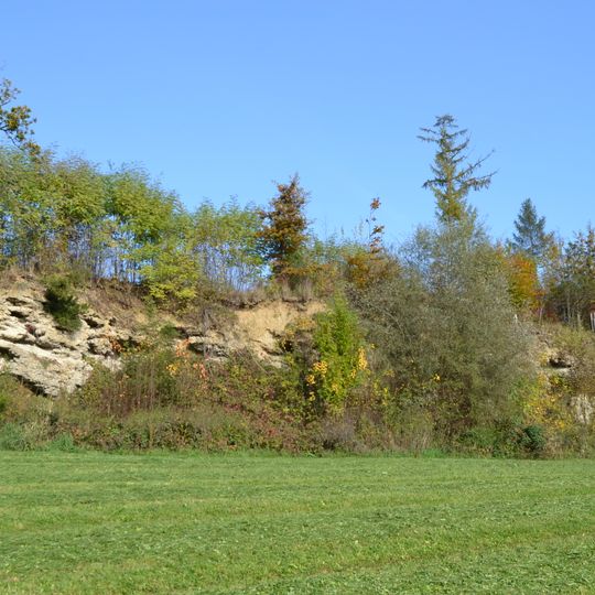 Nagelfluhwand bei Weng