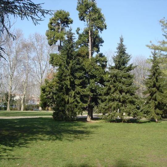 Parc Bazin