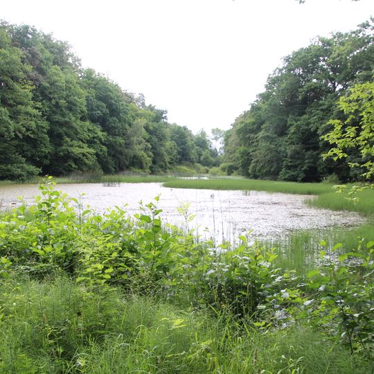Naturschutzgebiet Sickler Teich bei Londorf
