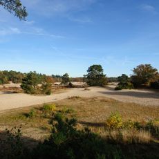 Soesterduinen dunes