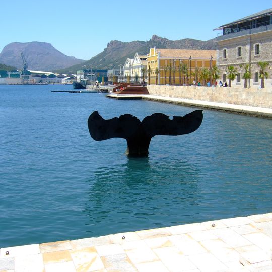 Cola de ballena, Cartagena