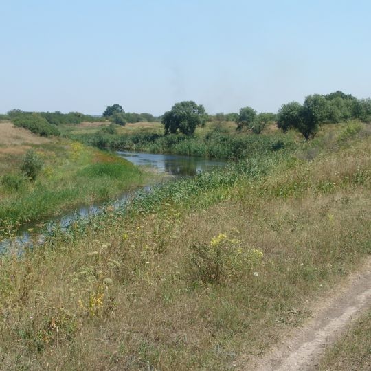 Distretto di Vasyl'kivka