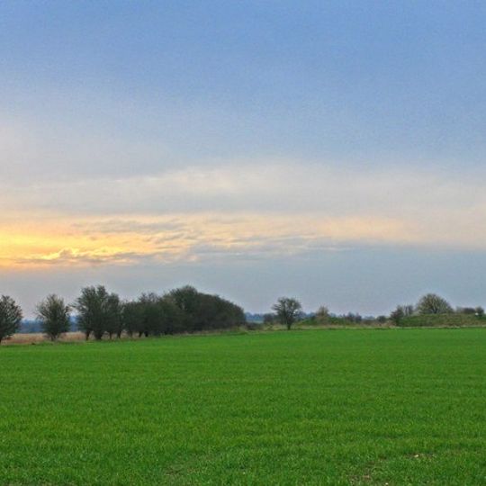 Wor Barrow and two bowl barrows on Handley Down