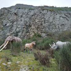 Parco museo geologico di Cava Monticino