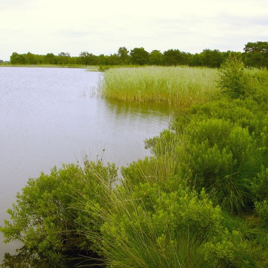 Wollingster See und Randmoore