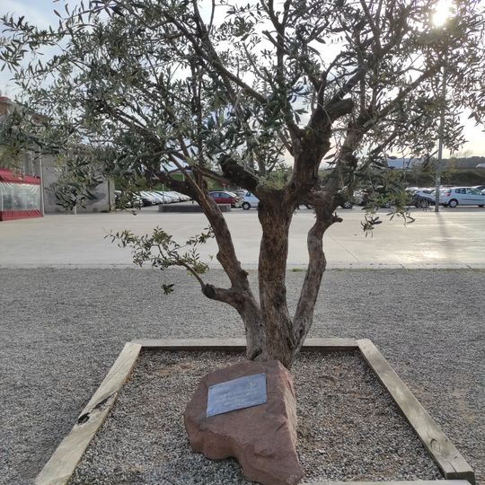 Monumento a los donantes de sangre en Molins de Rei