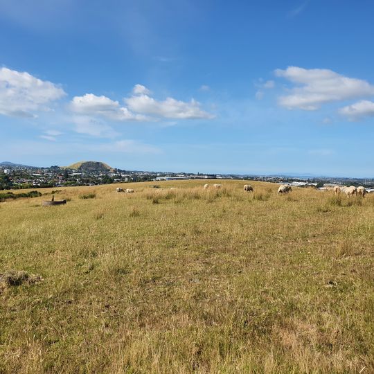 Mutukaroa / Hamlins Hill Regional Park