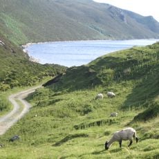 Lough Salt
