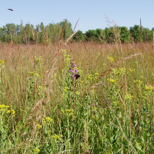 Jay C. Hormel Nature Center