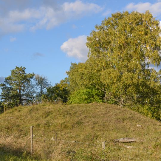 Nr 4 och 6: Kungshögarna