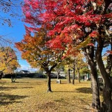 Shōnai Park