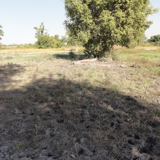 Dipartimento di Alibori