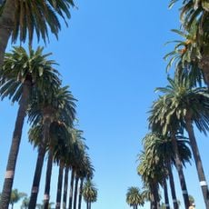Ambassador Park
