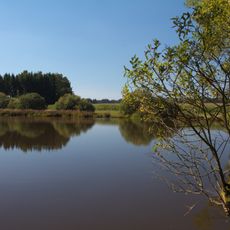 Rybníky u Lovětína