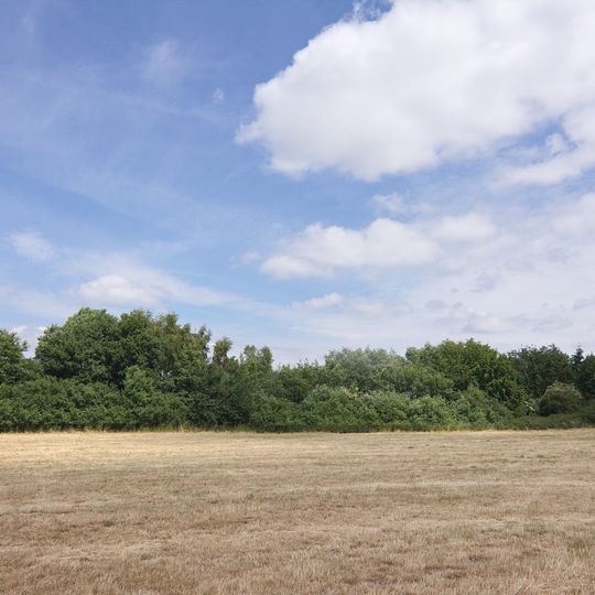 Fohlenstall - Haster Wald