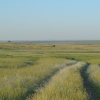 Kurmanayevsky District