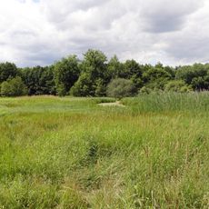 Brackenbruch bei Hergershausen