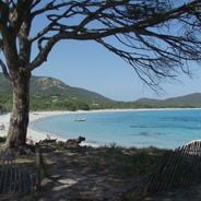Palombaggia
