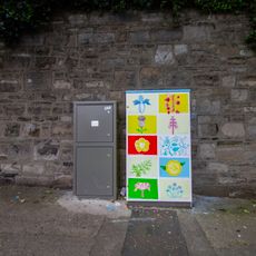 Flora in the Phoenix Park