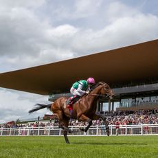 Curragh Race Course and lands