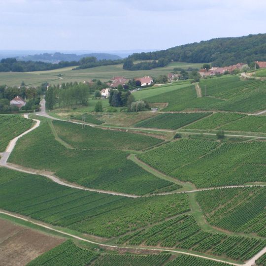 Menétru-le-Vignoble