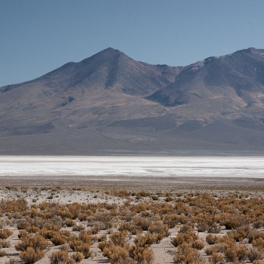 Salar de Chiguana