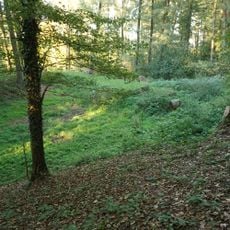 Tvrziště Kurovodice