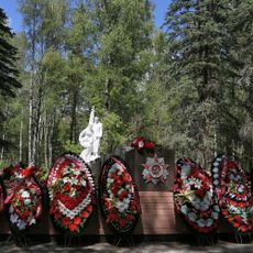 Братская могила воинов Советской Армии, умерших от ран (1941-1945) (Гусь-Хрустальный)