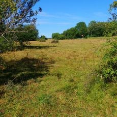 Västerplana storäng