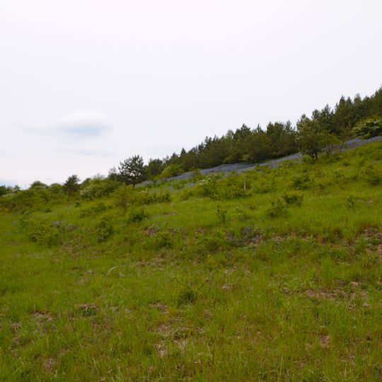 Hutelandschaft Altranft-Sonnenburg