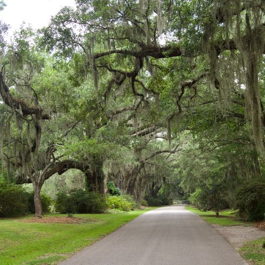 Magnolia Plantation and Gardens