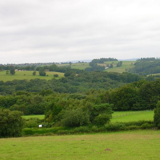 Bingletts Wood