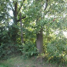 Kříž u obce Ošelín