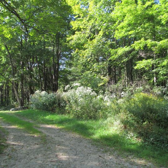 Brooks Woodland Preserve