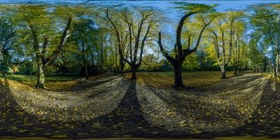 Panoramic View 1