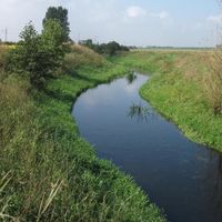 distretto di Wieluń