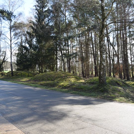 Grafheuvels aan de Grote Haart