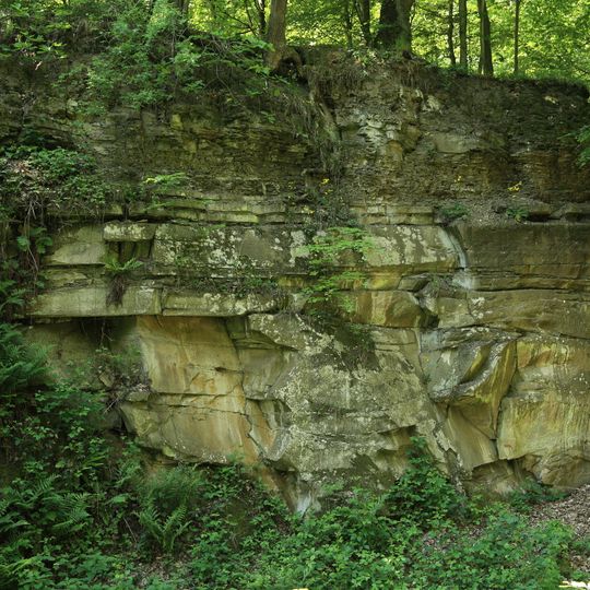 Laubwälder um Würzburg