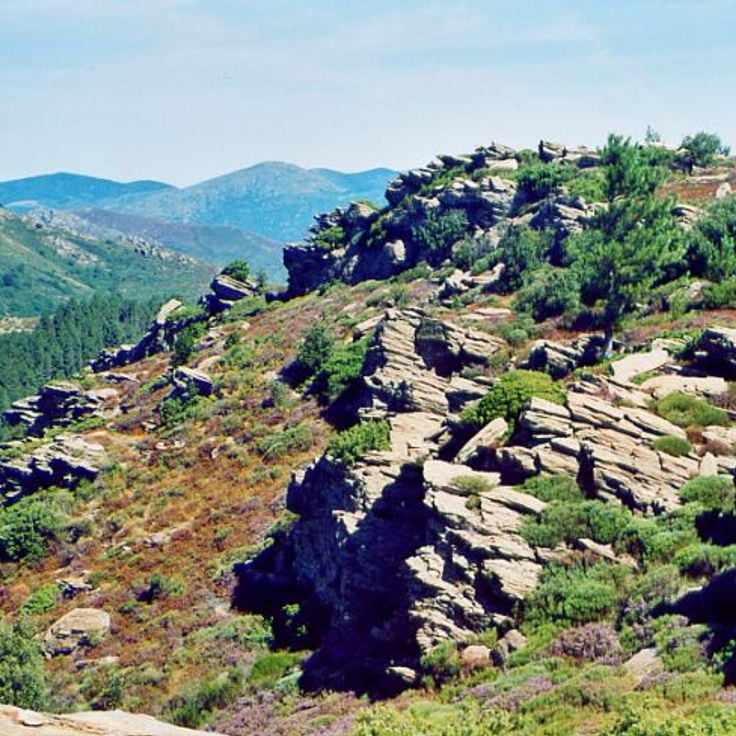 Haut-Languedoc Bölgesel Tabiat Parkı