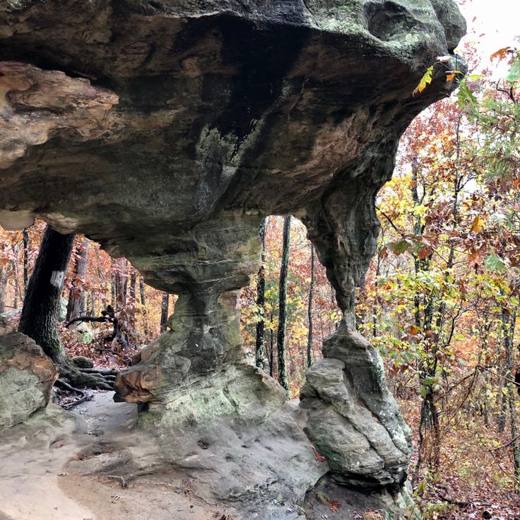 Obszar Naturalny Pickle Springs