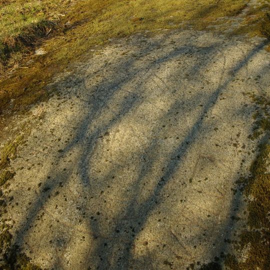 Uppland Runic Inscription 897