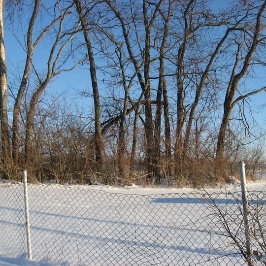 Valentine Wilson House