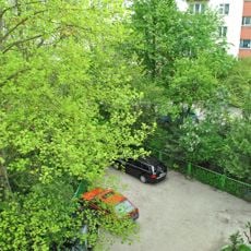 Mykola Chaikovskyi Botanic Preserve