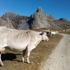 Comba di Castelmagno