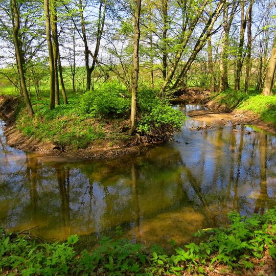 Přírodní rezervace Zbytka