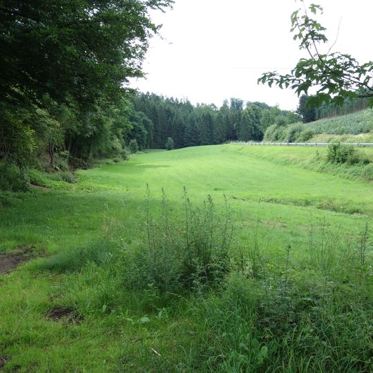 Talräume der Kleinen Henne zwischen Löttmaringhausen und Remblinghausen